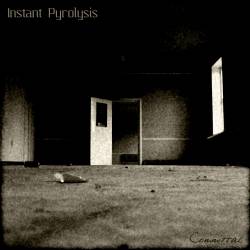 Instant Pyrolysis : Committal